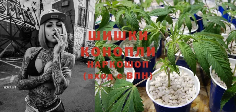 Канабис White Widow  MEGA сайт  Княгинино 